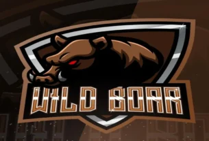 Wild Boars Gaming
