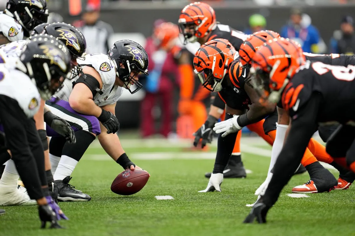 Bengals and Ravens play ball