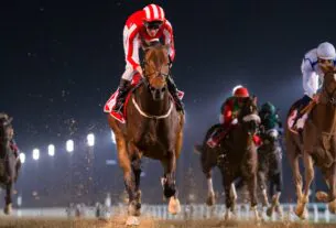 night horse race