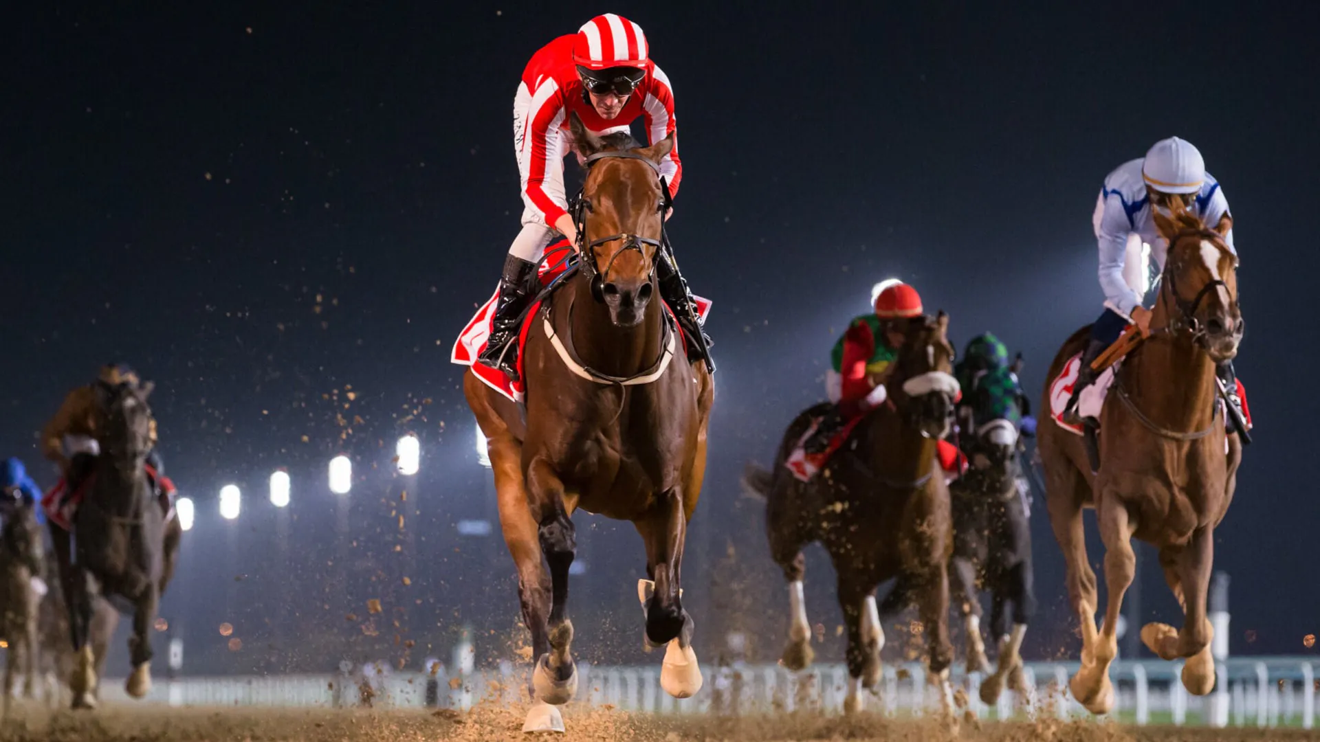 night horse race